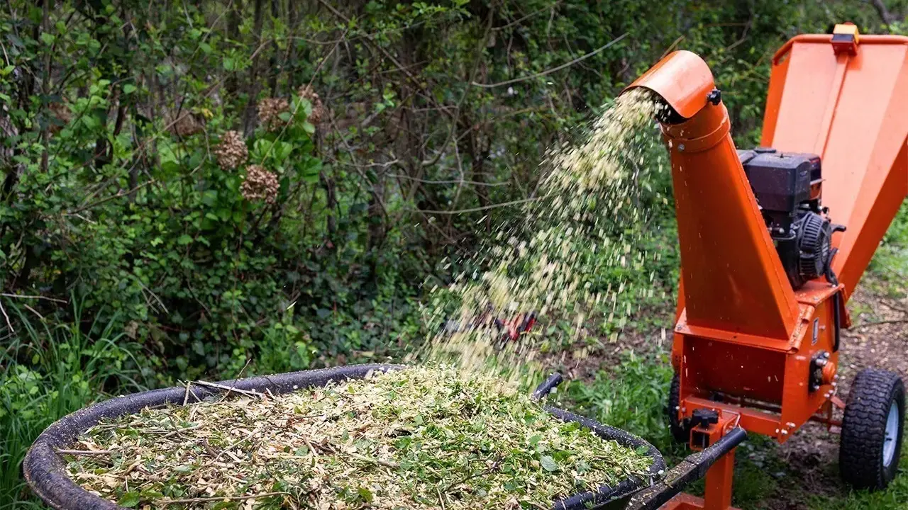 Une brouette remplie de broyat de bois, projeté par une déchiqueteuse orange.