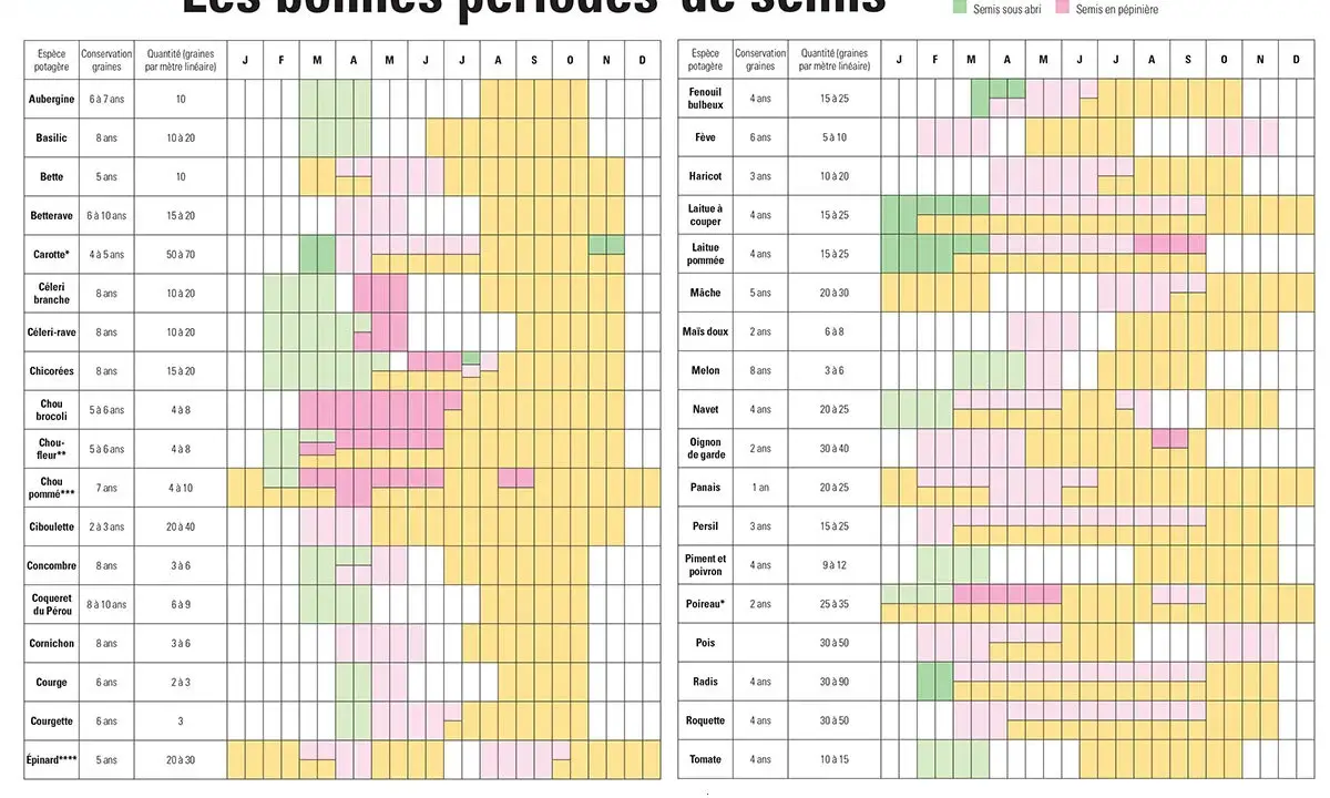 Calendrier pour faire son potager : semis, pépinière, récolte de légumes mois par mois.