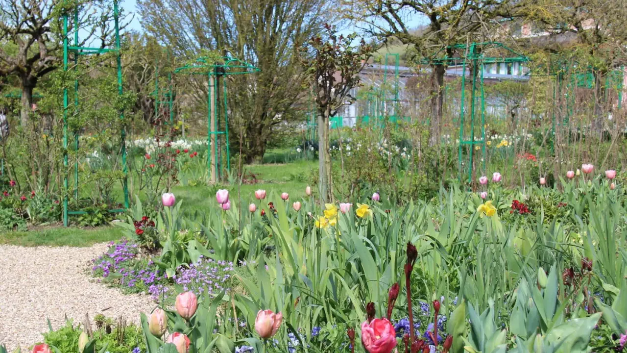 Un jardin printanier fleuri, idéal pour savoir quoi planter en avril. Tulipes roses et jaunes, jonquilles et petites fleurs violettes s'épanouissent.