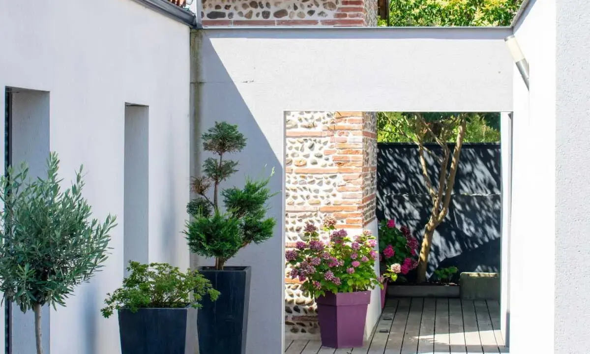Aménagement terrasse devant maison : olivier, conifères et hortensias en pots, créant un espace extérieur moderne et accueillant.