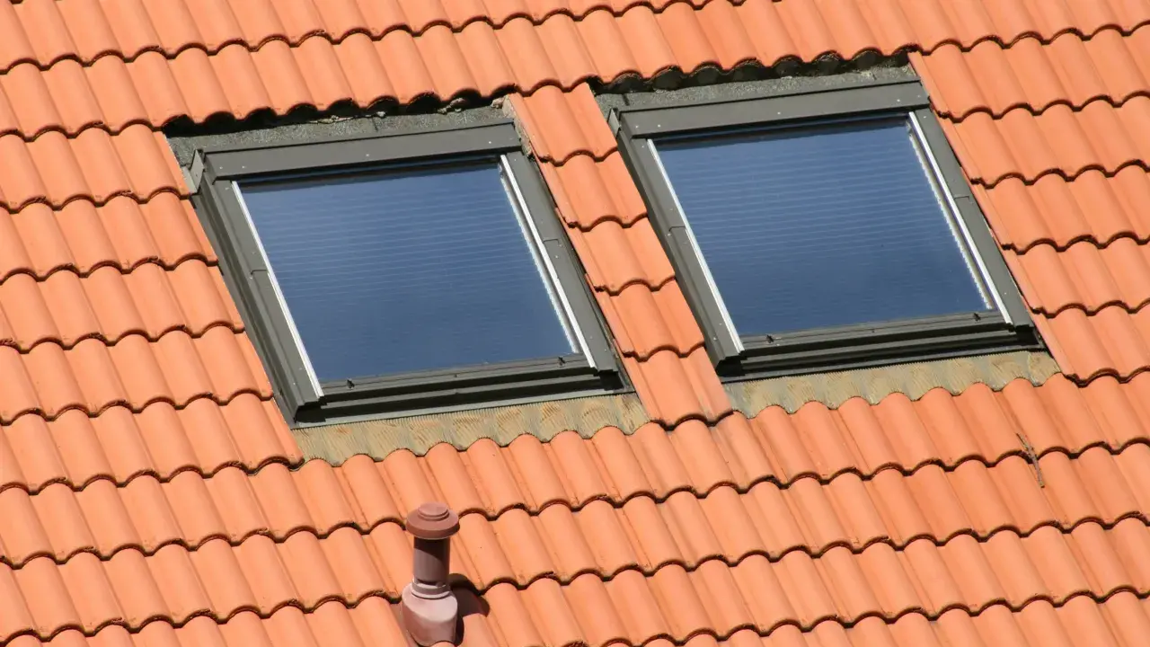 Un chien assis sur une toiture en tuiles, observant le ciel à travers deux fenêtres de toit.