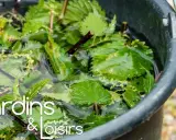 Un seau rempli d'eau et d'orties pour préparer un purin de fougère, un engrais naturel pour le jardin.