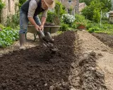 Un jardinier expérimenté enrichit la terre, montrant quand mettre du fumier dans le jardin pour des récoltes abondantes.