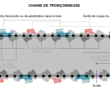 Détail d'une chaîne de tronçonneuse montrant le pas et le sens de rotation. Les dents d'entraînement bleues et rouges sont visibles.