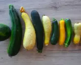 Belle association de courgettes de différentes formes et couleurs, une récolte variée de ce légume du potager.