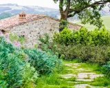 Un chemin de dalles de pierre serpente à travers un jardin luxuriant, bordé de divers types de haies. Des fleurs roses et des arbustes verdoyants entourent une maison en pierre toscane.