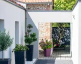 Aménagement terrasse devant maison : olivier, conifères et hortensias en pots, créant un espace extérieur moderne et accueillant.