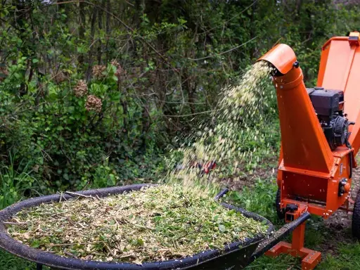 Une brouette remplie de broyat de bois, projeté par une déchiqueteuse orange.