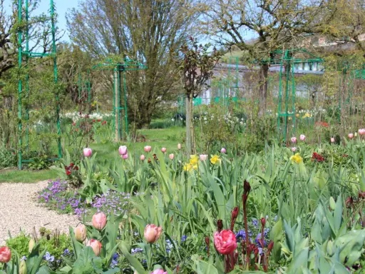 Un jardin printanier fleuri, idéal pour savoir quoi planter en avril. Tulipes roses et jaunes, jonquilles et petites fleurs violettes s'épanouissent.