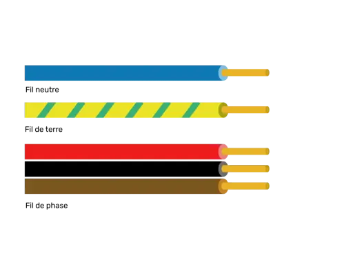 Quatre fils électriques : un bleu, un jaune à rayures vertes, un rouge et un fil marron électricité.