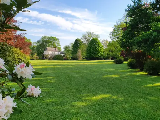 Magnifique pelouse verte, idéale pour savoir quand semer gazon. Des rhododendrons en fleurs au premier plan, un manoir en arrière-plan.