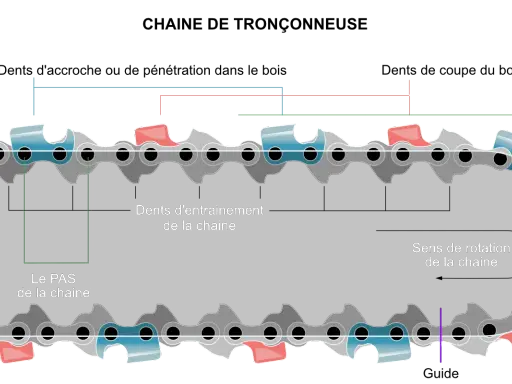 Détail d'une chaîne de tronçonneuse montrant le pas et le sens de rotation. Les dents d'entraînement bleues et rouges sont visibles.