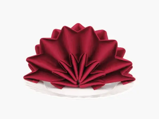 Une serviette rouge bordeaux pliée en éventail sur une assiette blanche. Un pliage serviette simple et beau pour une table élégante.