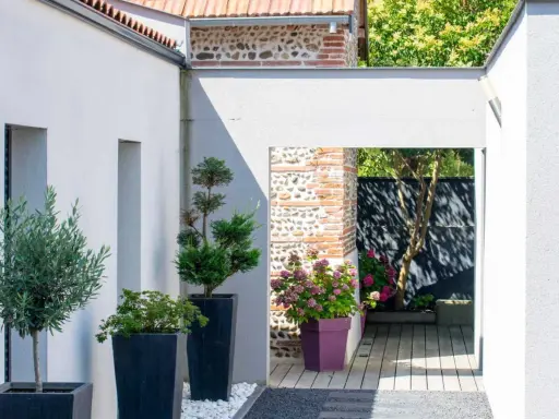 Aménagement terrasse devant maison : olivier, conifères et hortensias en pots, créant un espace extérieur moderne et accueillant.