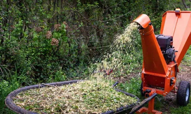 Une brouette remplie de broyat de bois, projeté par une déchiqueteuse orange.