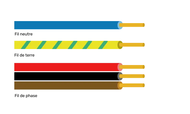 Quatre fils électriques : un bleu, un jaune à rayures vertes, un rouge et un fil marron électricité.
