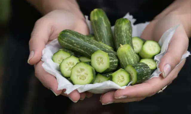 Mains tenant une coupe de petites courgettes entières et tranchées, prêtes à pincer les courgettes pour une salade fraîche.