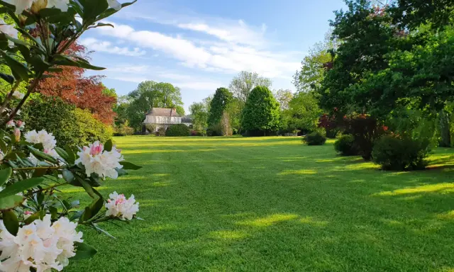 Magnifique pelouse verte, idéale pour savoir quand semer gazon. Des rhododendrons en fleurs au premier plan, un manoir en arrière-plan.