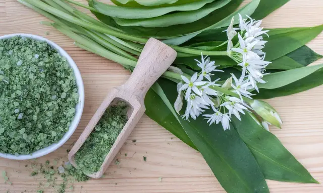 Sel de cuisine à l'ail des ours, avec des feuilles vertes et des fleurs blanches sur fond de bois.
