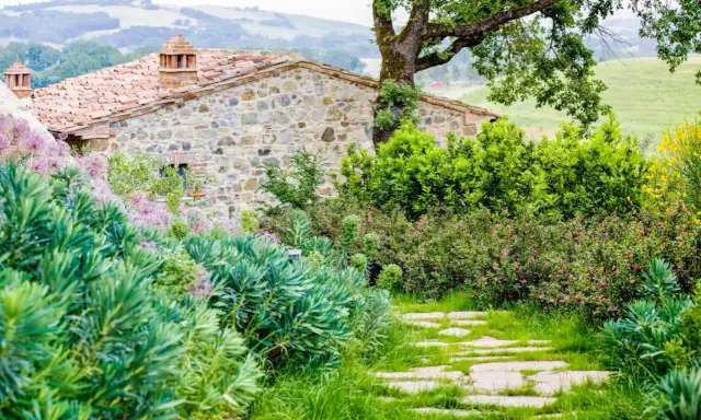 Un chemin de dalles de pierre serpente à travers un jardin luxuriant, bordé de divers types de haies. Des fleurs roses et des arbustes verdoyants entourent une maison en pierre toscane.