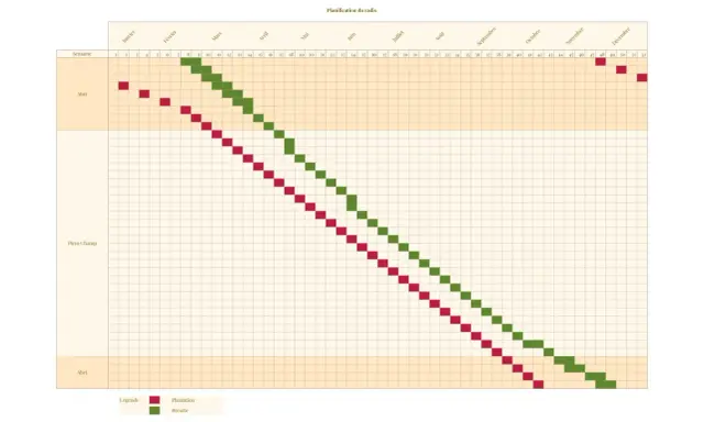 Calendrier de culture des radis : quand semer en abri ou en plein champ pour une récolte continue.