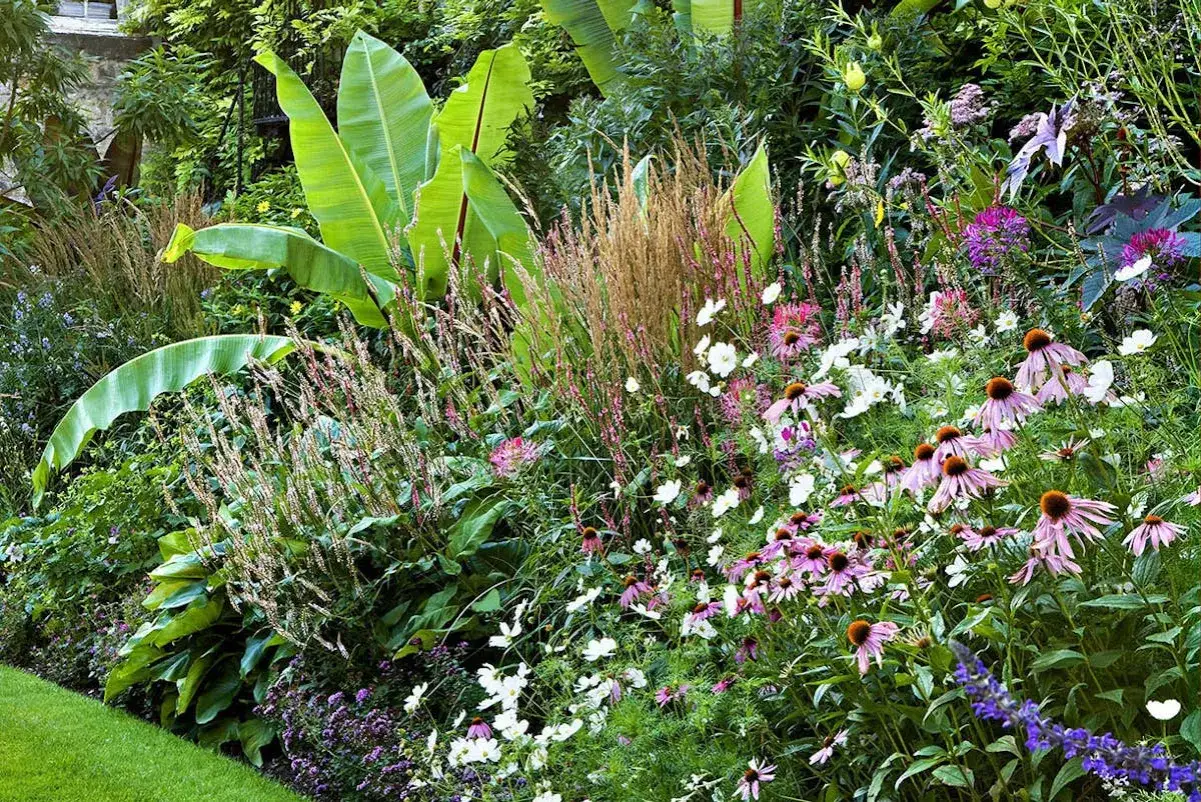 Un jardin luxuriant avec de grandes feuilles vertes, des herbes hautes et des fleurs roses et blanches. Une plante exotique ext&eacute;rieur qui &eacute;voque un paradis tropical.