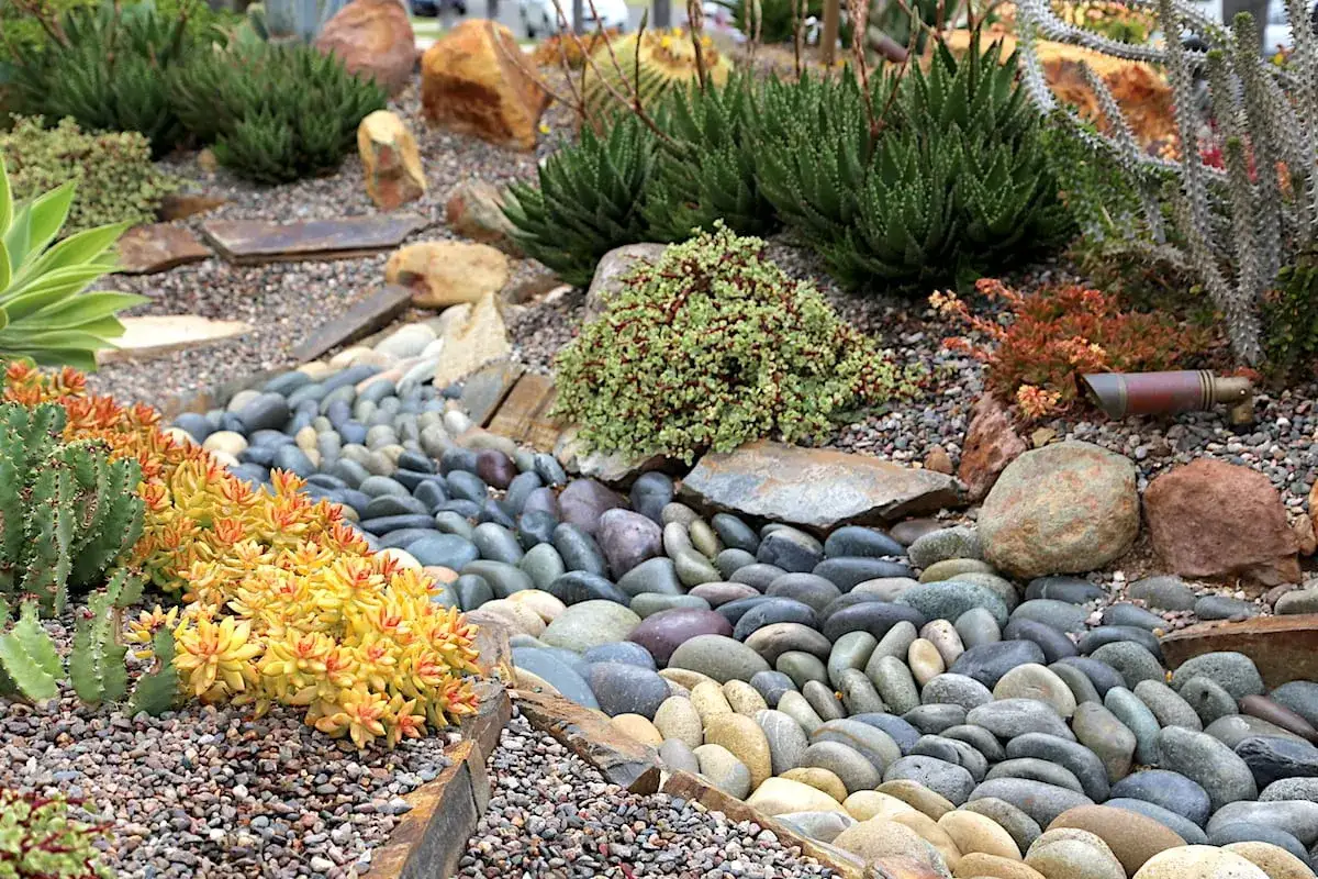 Un jardin sec met en valeur les diff&eacute;rents sedum aux teintes vives, entour&eacute;s de galets lisses et de roches.