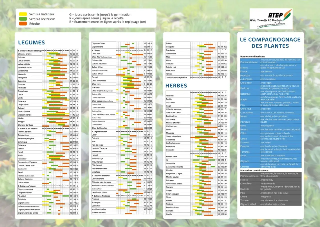 Quand semer les poireaux : semis d'&eacute;t&eacute; en juillet, r&eacute;colte en automne. Le tableau indique les p&eacute;riodes id&eacute;ales pour semer et r&eacute;colter.