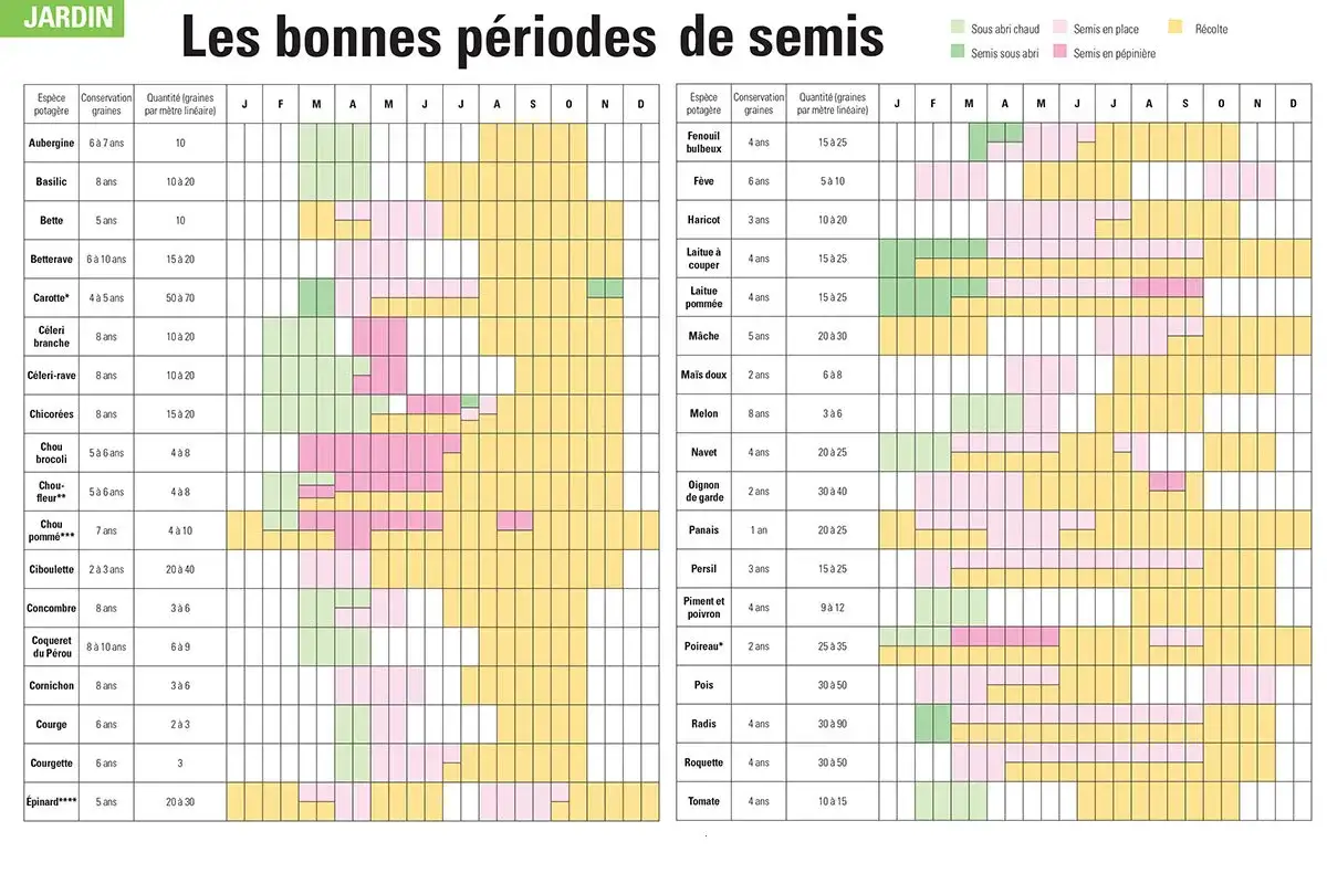 Quand semer les radis : ce tableau indique les périodes idéales pour semer les radis en place, de mars à septembre, pour une récolte rapide.