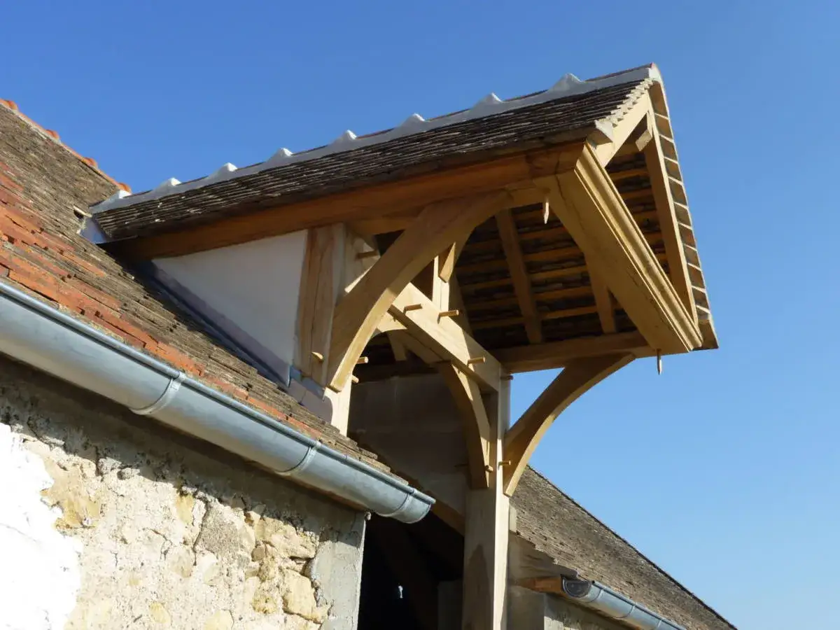 Un chien assis sur la toiture, observant le ciel bleu. La charpente en bois est visible sous le toit.