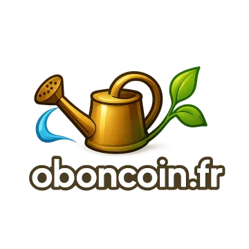 Logo oboncoin.fr