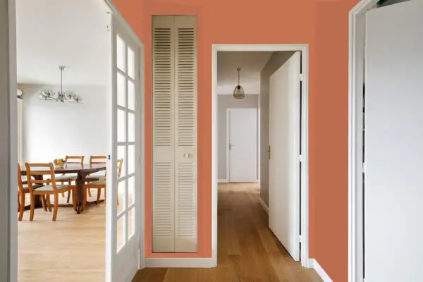 Un couloir aux murs couleur tendance 2026, avec une porte vitrée menant à une salle à manger et une porte de placard intégrée.