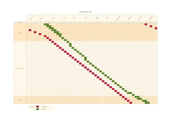 Calendrier de culture des radis : quand semer en abri ou en plein champ pour une récolte continue.