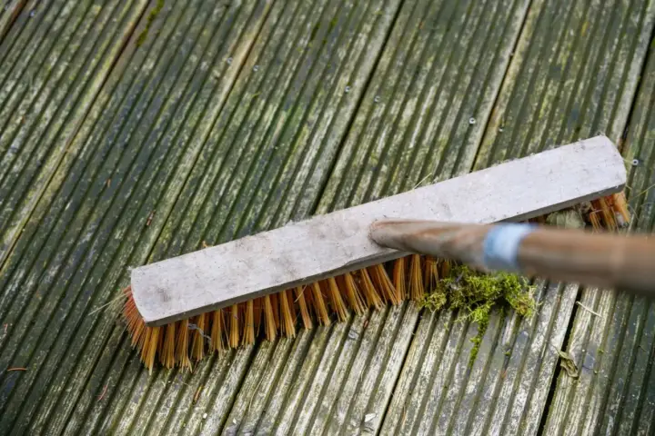 Brosse en action pour nettoyer terrasse bois envahie par la mousse et les débris.